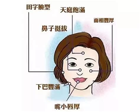 面相學女|周易面相大叔：女人面相學圖解，全方位了解你的命運